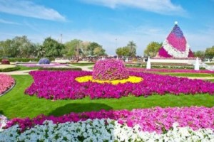 باغ گل العین امارات