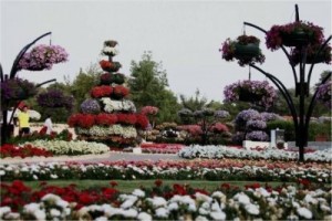 باغ گل العین امارات